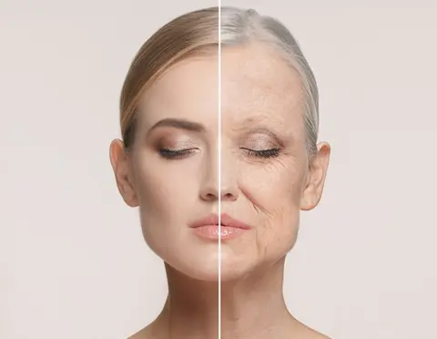 Daily multivitamin intake linked to slower biological aging in older adults